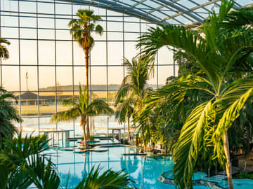 Therme Bucuresti: Ticket and Transfer