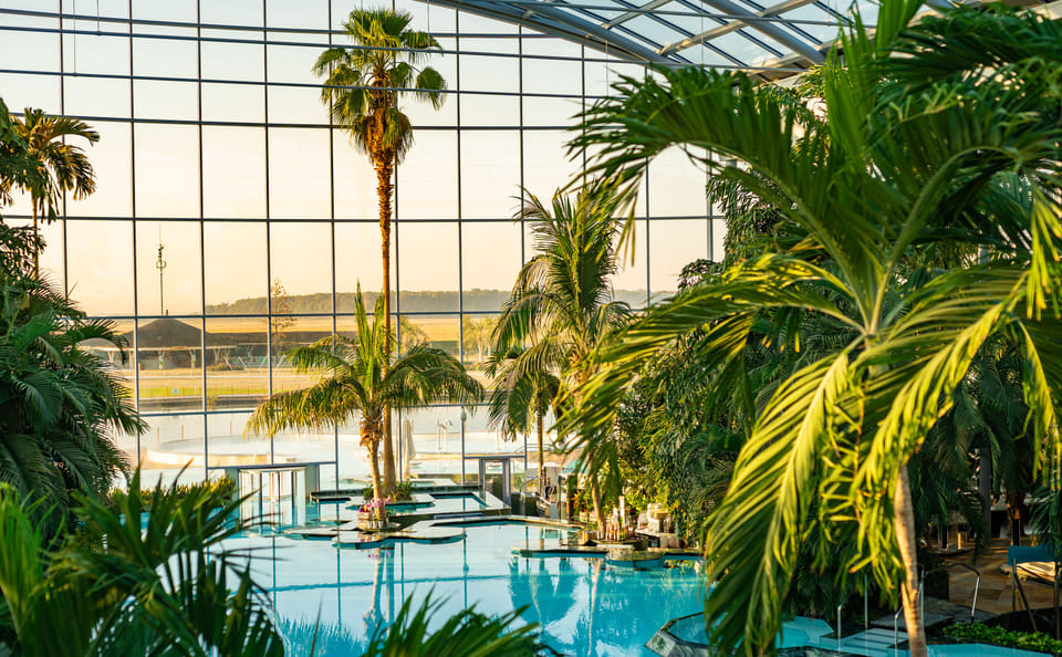 Therme Bucuresti: Ticket and Transfer