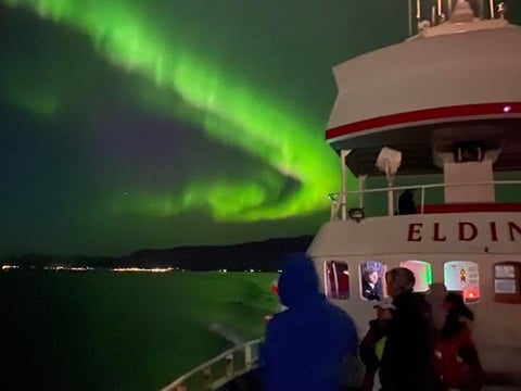 Reykjavík Northern Lights & City Cruise, photo 19