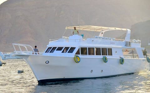 Snorkeling Adventure at Ras Mohamed and The White Island