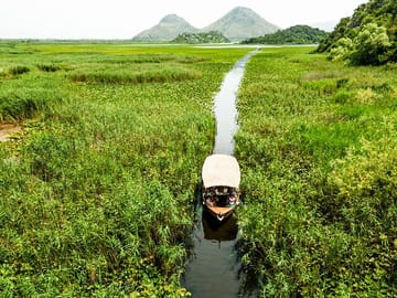 Three hidden islands of Lake Skadar showcase a vibrant ecosystem of water lilies and birdlife.