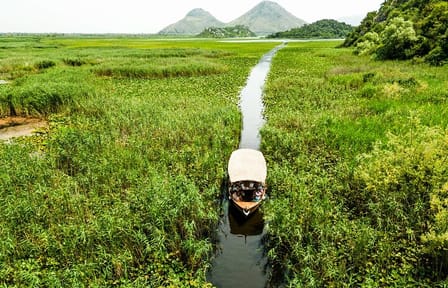 Guided Panoramic Lake Skadar Boat Tour with a Visit to Kom Monastery