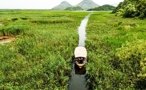 Lake Skadar Boat Tour with Visit to Kom Monastery in Montenegro