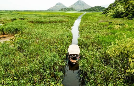 Guided Panoramic Lake Skadar Boat Tour with a Visit to Kom Monastery