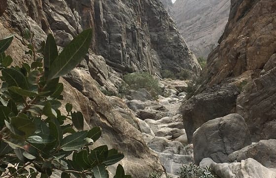 Wadi Shab and Bimmah Sinkhole Full Day Tour