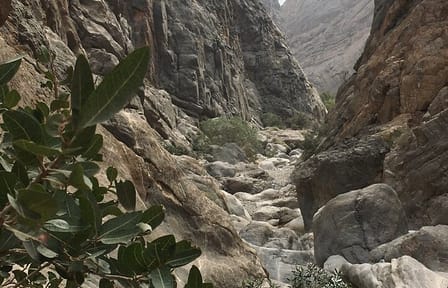 Wadi Shab and Bimmah Sinkhole Adventure Tour in Muscat
