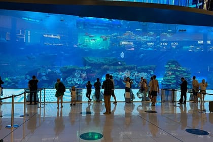 Explore Dubai City Souks Modern City Pickup/Drop off Fujairah