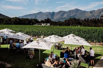 Full day Blue line Franschhoek From Cape Town