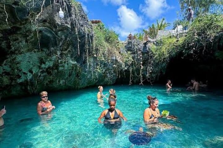 Explore Stone Town and Jozani Forest with Turtles Zanzibar 7