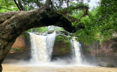 Hiking and Birdwatching in Khao Yai National Park