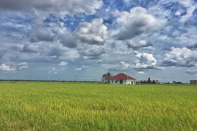 Paddy Field, Fishing Village Sekinchan DAY Tour Lunch (SIC-Shared/Join In Tour) 4