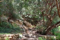 Half-Day Private Walking Tour along the Orthodox Gorge 4