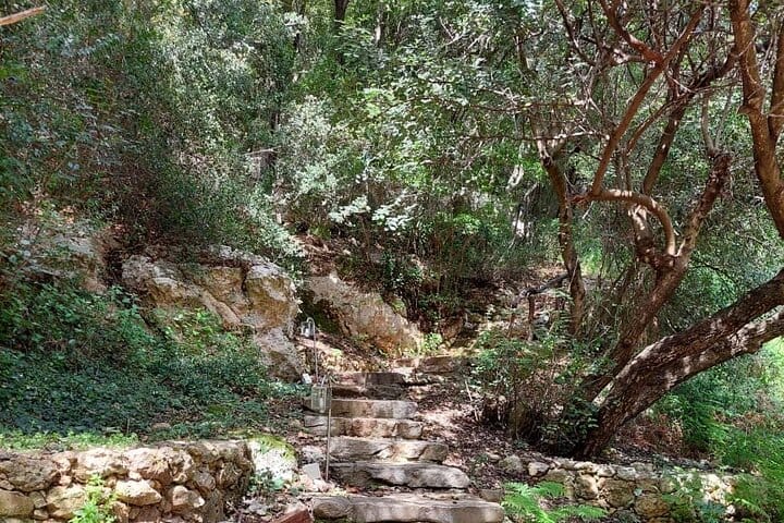 Half-Day Private Walking Tour along the Orthodox Gorge 4