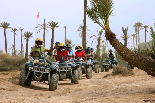 2-Hour Quad Biking Adventure in the Palm Oasis