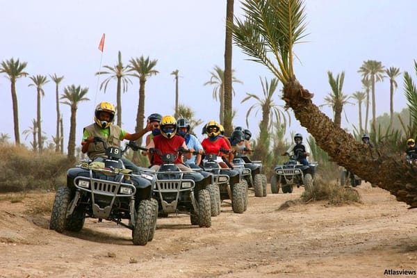 2-Hour Quad Biking Adventure in the Palm Oasis