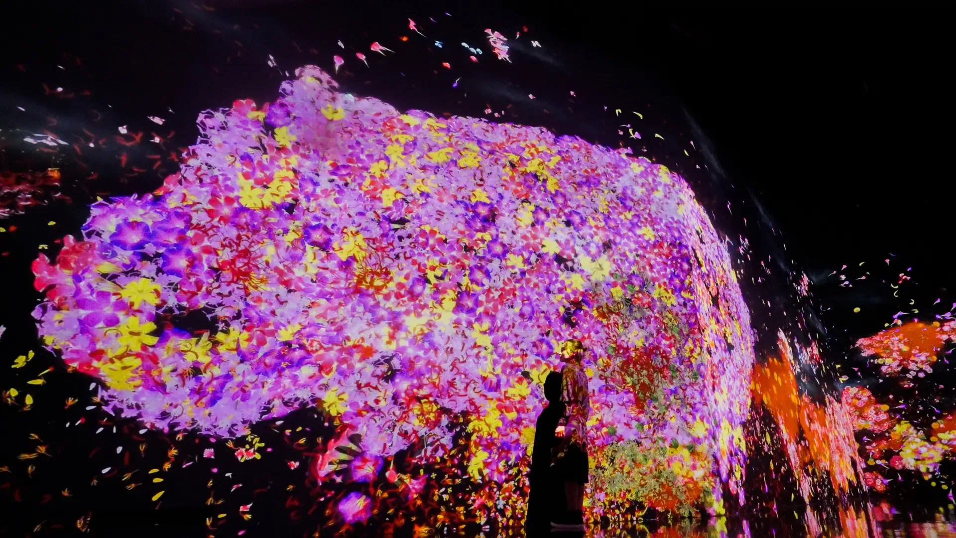 teamlab Borderless Tokyo