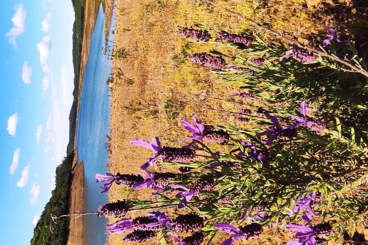 Full-day 4X4 tour Monchique Mountain and Bravura Lake