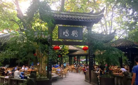 Walking Tour of Chengdu People's Park with Mahjong Lesson