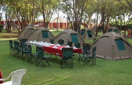 6 Days Northern Circuit Camping Safari in Tanzania