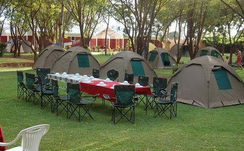 6-Day Camping Safari and Hiking in Northern Tanzania