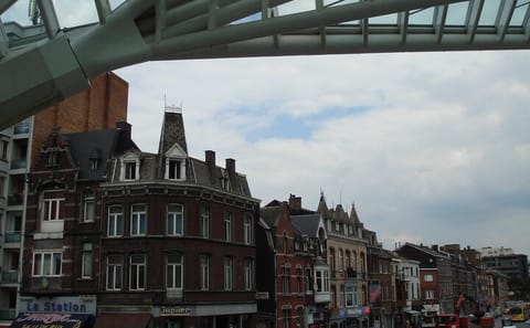 Cultural Walking Tour of Liège: Cathedrals and Historic Sites