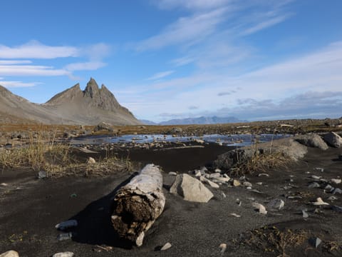 Private Tour from Djupivogur - The Eastfjord, photo 3