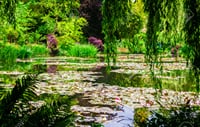 Private Full Day Tour of Giverny and Rouen from Le Havre - Shore Excursions 6