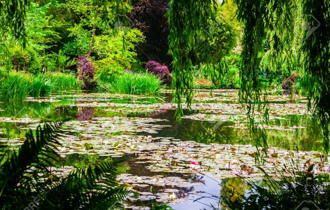 Private Full Day Tour of Giverny and Rouen from Le Havre - Shore Excursion 6