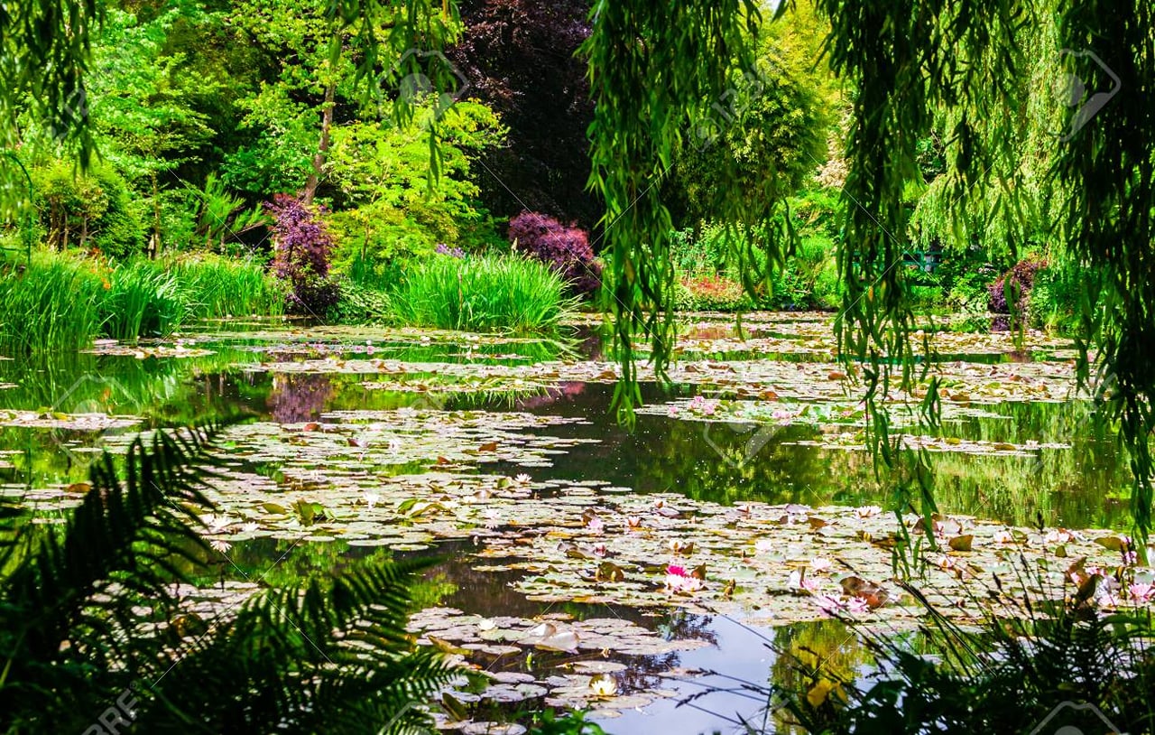 Private Full Day Tour of Giverny and Rouen from Le Havre - Shore Excursions 6