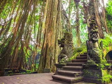 Cleansing Rituals at Tirta Empul Temple in Ubud, Bali