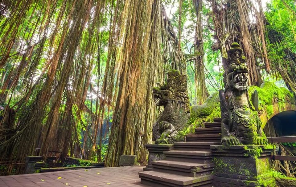 Cleansing Rituals at Tirta Empul Temple in Ubud, Bali
