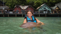 Shark Encounter in Dolphin Cove Ocho Rios  1