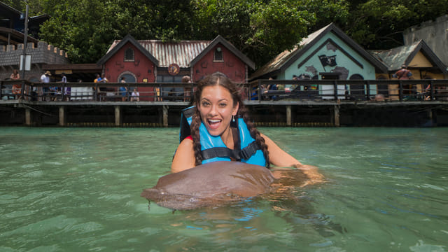 Shark Encounter in Dolphin Cove Ocho Rios 