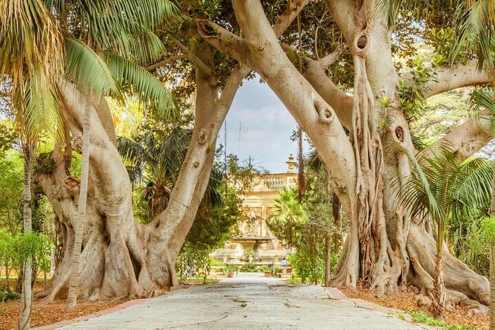 Guided Sightseeing Tour in Malta or Gozo