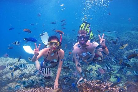 Nha Trang Island Snorkeling Adventure: Explore Hon Mun & Tri Nguyen