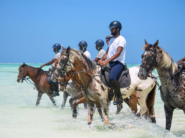 Horse riding on Nungwi beach
