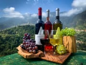 Cabo Girão Skywalk, Vineyards, Wine Tasting Tour in Open Roof 4x4 & Dolphin Watching 9