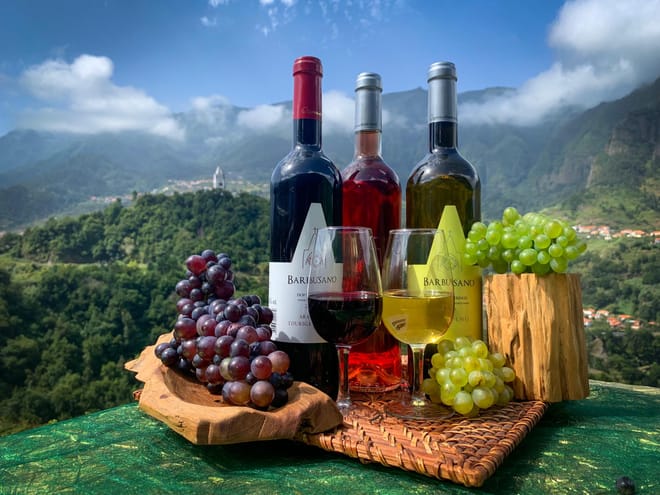 Cabo Girão Skywalk, Vineyards, Wine Tasting Tour in Open Roof 4x4 & Dolphin Watching 9