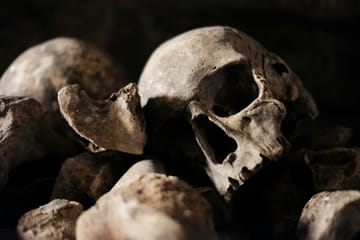 Explore the Paris Catacombs on a Guided Day Trip
