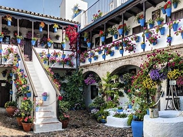 From Seville: Cordoba private day trip