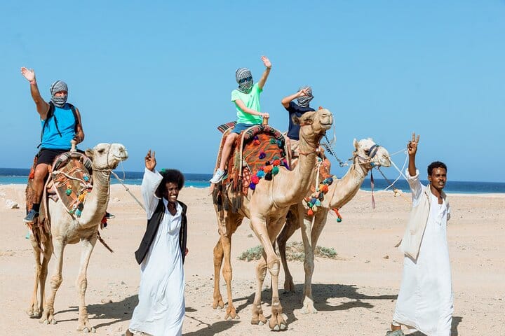 Quad with Camel Ride & Bedouin village, Dinner From Marsa Alam