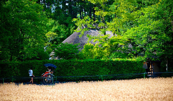 Rickshaw ride in Arashiyama, Kyoto