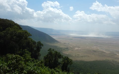 2 Days / 1 Night Safari to Tarangire & Ngorongoro Crater from Arusha