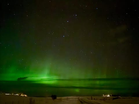 Northern Lights Hunt