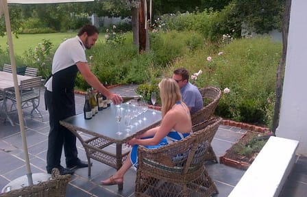 Private Half-Day Wine Tour in Cape Winelands, Stellenbosch