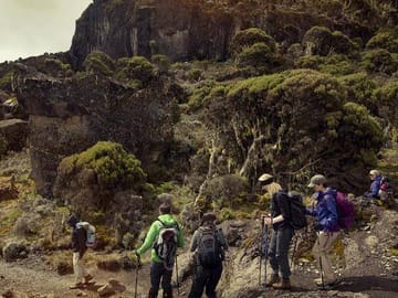 10 Day Kilimanjaro Climb – Lemosho Route
