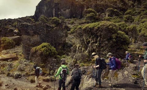 10 Day Kilimanjaro Climb – Lemosho Route