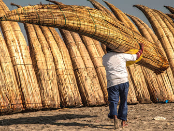 Pimentel Coastal Tour and Ostrich Farm Visit from Chiclayo