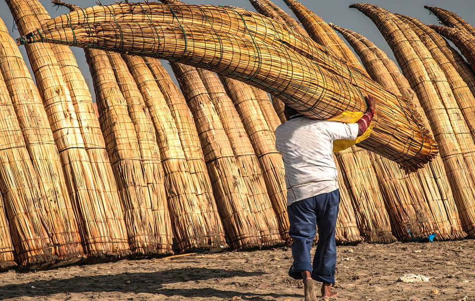 Pimentel Coastal Tour and Ostrich Farm Visit from Chiclayo