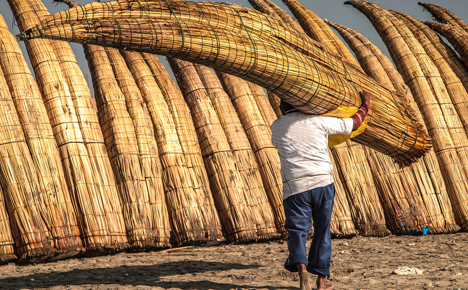 Pimentel Coastal Tour and Ostrich Farm Visit from Chiclayo